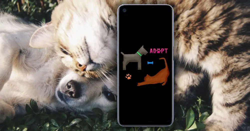 the best apps to adopt dogs and cats