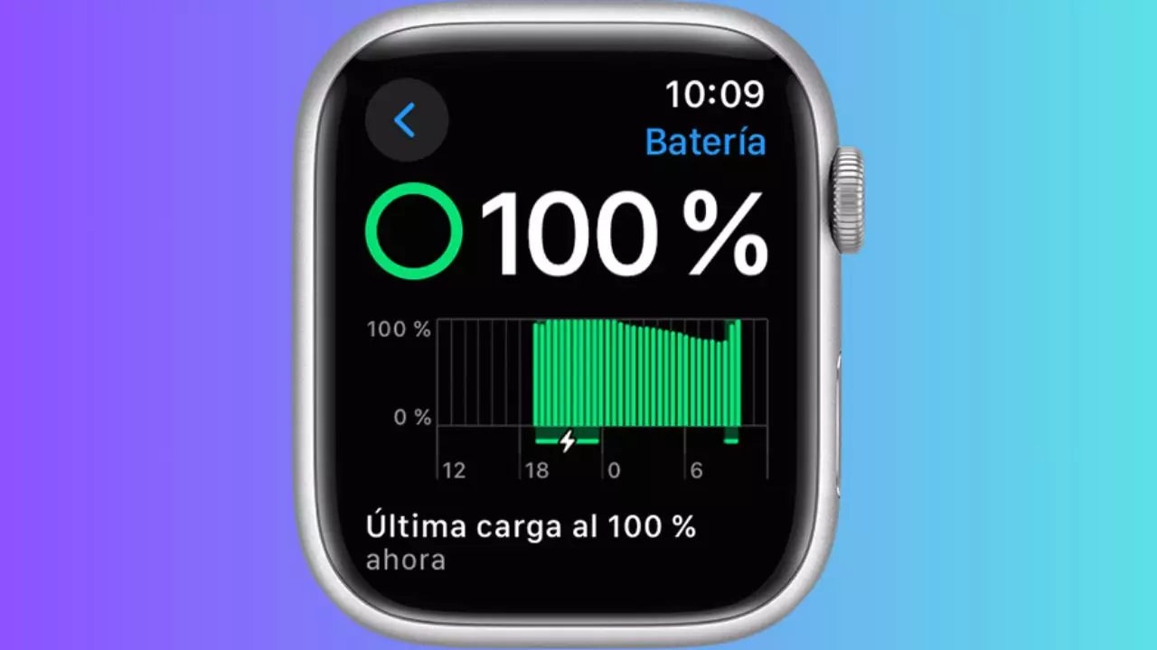 Apple Watch 100 battery